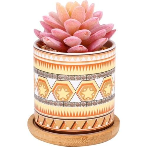 Potted Succulent Artificial Succulents Realistic Fake Plants Faux Succulent Potted Cactus Cacti Plant