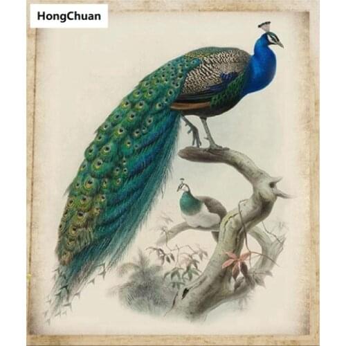Peacock full square round 5d diy diamond painting diamond mosaic crafts diamond embroidery rhinestone decoration new year