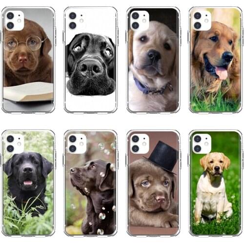 For Samsung Galaxy S7 S8 S9 S10E S20 FE Note 10 20 Edge Lite Plus Ultra Silicone Cover Bag labrador-puppies-dog
