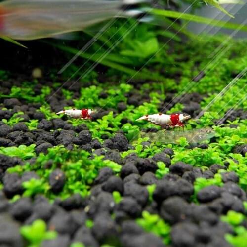Water Plant Root Fertilizer Sand Fertilizer Aquarium Kies Aquarium Soil Stone Substrate Gravilla Fish Tank Soil Water Moss Grass