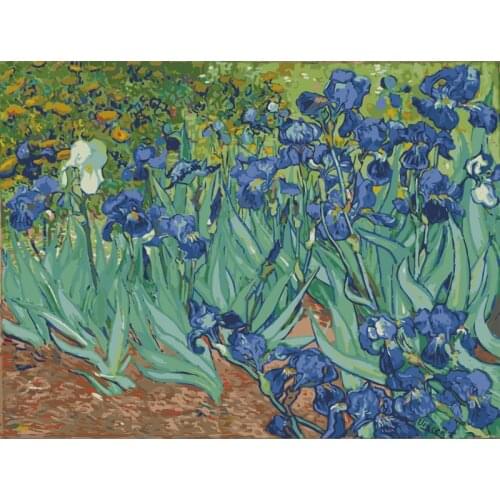Van Goghs iris flowe Flower DIY Painting By Numbers Wall Art Picture Acrylic Painting For Home Decoration Drop Shipping 60x75cm