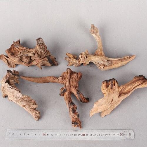 Natural Tree Coral wood Climber Reptile Lizard Cork Pet Decoration Ecological environment 10/20CM Drift Wood Fish Tank Driftwood