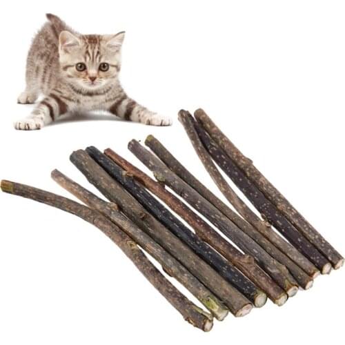 5/10/15/20pcs Natural Catnip Pet Cat Molar Toothpaste Stick Fruit Silvervine Cat Snacks Sticks Pet Cleaning Teeth