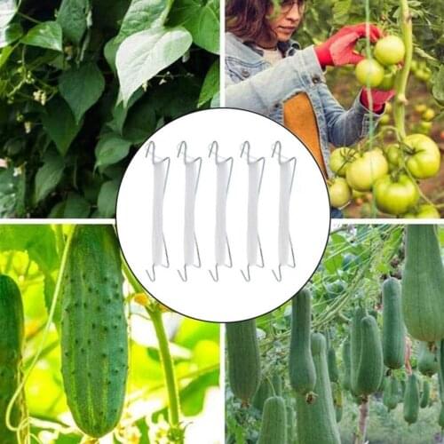 Portable 5Pcs Useful Plant Protection Tomato Support Clips M-shaped Tomato Support Hooks High Efficiency for Home