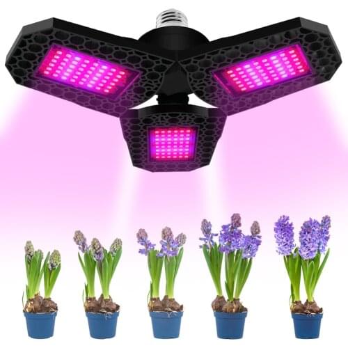 曜三迈 Phytolamps For Plants