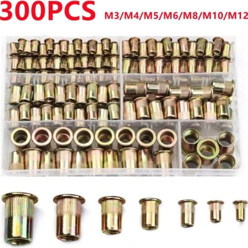 300pcs M3 M4 M5 M6 M8 M10 M12 Box Carbon Steel Rivet Nuts Zinc Plated Flat Head Threaded Insert Rivet Nuts Set Hardware Parts