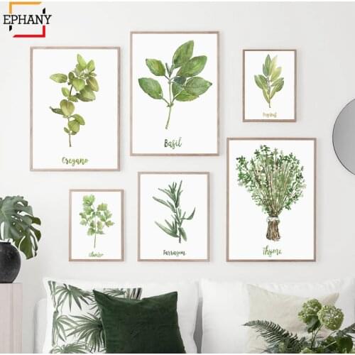 Watercolor Herbs Print Cilantro Oregano Thyme Gallery Kitchen Decor Green Plants Canvas Painting Wall Pictures for Dining Room