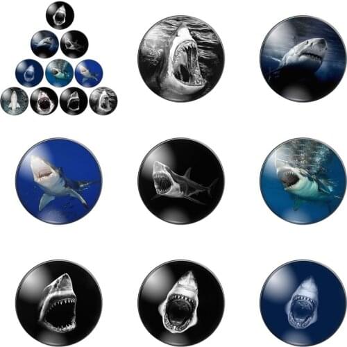 Fierce Open Sharks Mouth Swimming Ocean Animals 12mm/20mm/25mm/30mm Round Photo Glass Cabochon Demo Flat Back Making Findings