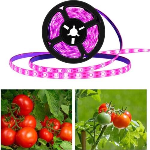 3 Meters Waterproof LED Hydroponic Plant Growth Lamp For Flower Greenhouse Increase Yield Promote Growth Growth Lamp