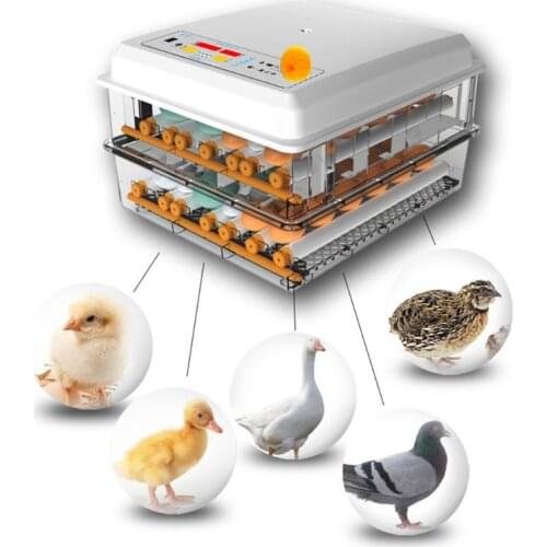 220V 16 Eggs Incubator Brooder Bird Quail Chick Hatchery Incubator Poultry Hatcher Turner Automatic Farm Incubation Tools EU