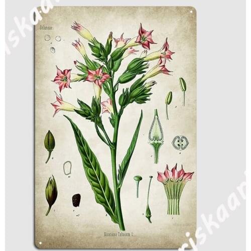 Tobacco Botanical Posters Metal Plaque Poster Retro pub Plaques Cave pub Tin sign Posters