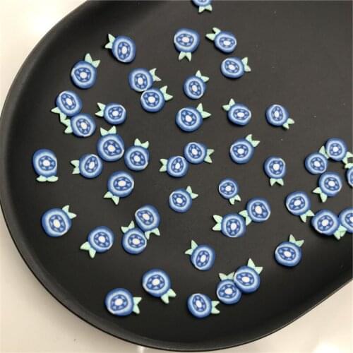 50g Blueberry Polymer Clay Slices Sprinkles for Kids Diy,Craft/Nail Art/Scrapbook Decoration,Filler Polymer Clay Embellishments