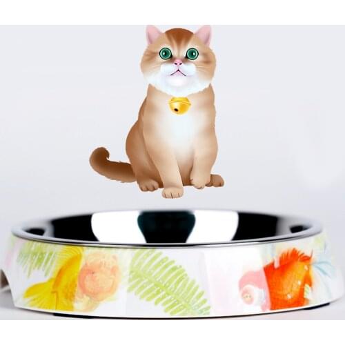 Stainless Steel Melamine Bowl Feeding Pet Tableware Cat Dog Bowl Colours Feature Dish Fit All Pet Puppy Cat Bowl