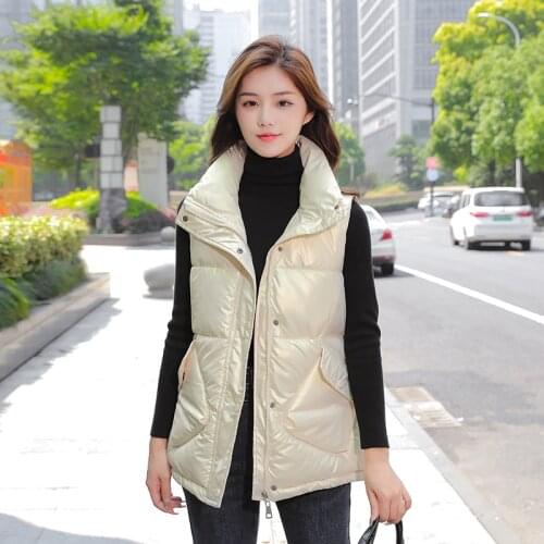 ISENMAL Autumn Winter Casual Sleeveless Women Vest Jacket Cotton Padded Vest for Female Stand Collar Ladies Zipper Waistcoat