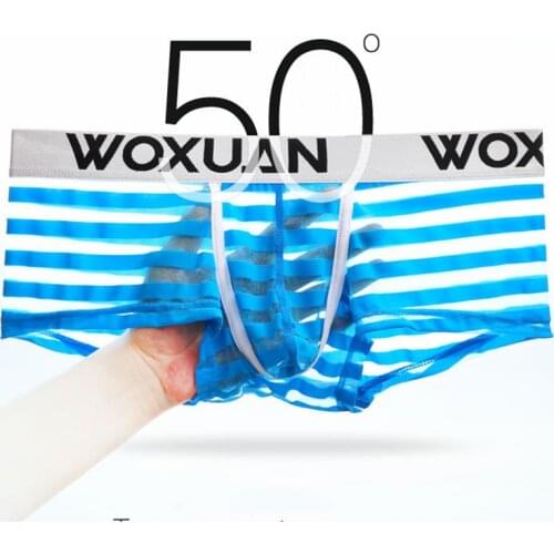 Boxer Mens Underwear Boxers Hot Sexy Stripe Mens Mesh Low Waist Ultra-thin Sexy Breathable Men Panties
