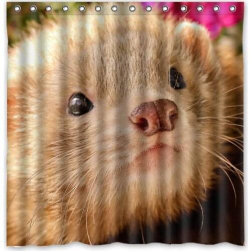 Ferret Waterproof Mildewproof Bath Curtain Polyester Fabric Shower Curtain For Bathroom Decor 180*180cm