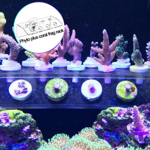 Phyto Plus Coral Frag SPS Support Stand Bracket Acrylic Strong Suction cup Fix Aquarium Fish Tank Reef Inclined Plane