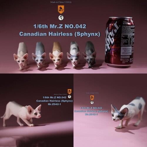 Mr.Z MRZ042 1/6 Scale Figure Scene Accessories Canadian Hairless Sphynx Resin Anime Figure Model for 12 inches Action Figure