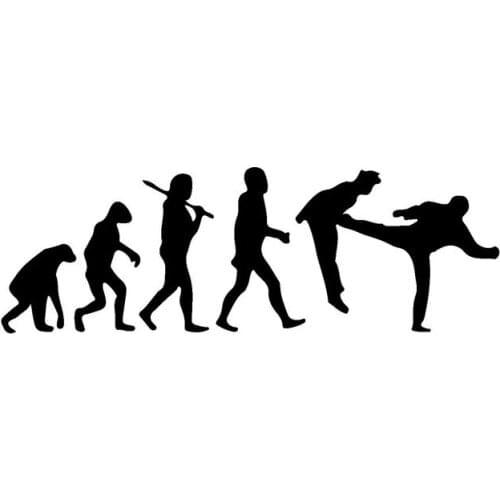 16.5*5.5CM Interesting Human Evolution Taekwondo Car Stickers Covering The Body Reflective Vinyl Decals Black/Silver C7-0583