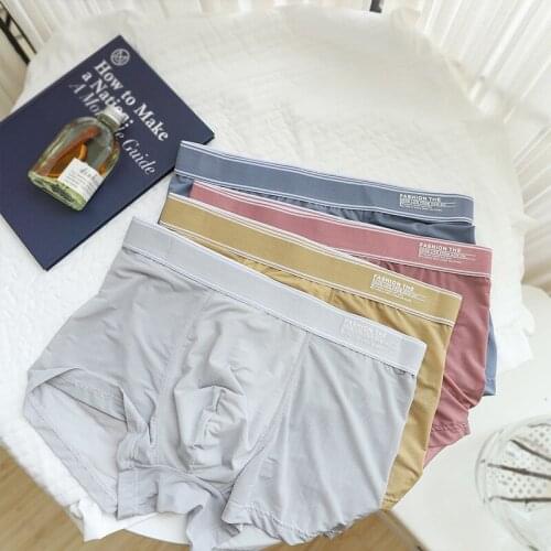 Summer Ice silk Soft Boxers Men Underwear Adult Plus Size Japanese casual Breathable mesh pure color men Underwear N0138
