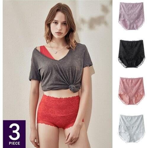 Plus Size Lace Panties Women Sexy High Waist Underwear Large Big Slimming Butt Lifter Briefs Body Shaper Underpants XL-4XL 3Pcs