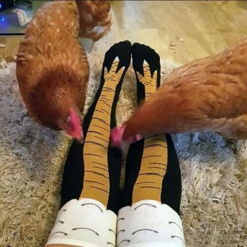 Adult Long Chicken Toe Socks Feet Claws Draw Chick Poult Hen Rooster Young Poultry Phoenix Pheasant Roseate Flamingo Platalea