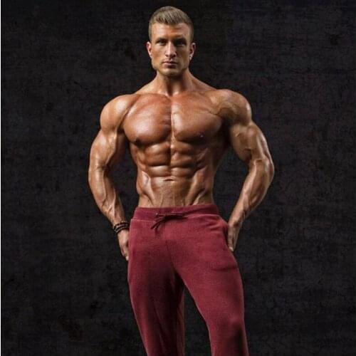 New 2019 Autumn Joggers Mens Slim Fit Sweatpants Gyms Pants Fitness Workout Solid Sportswear Trousers Male Fashion Pencil Pants