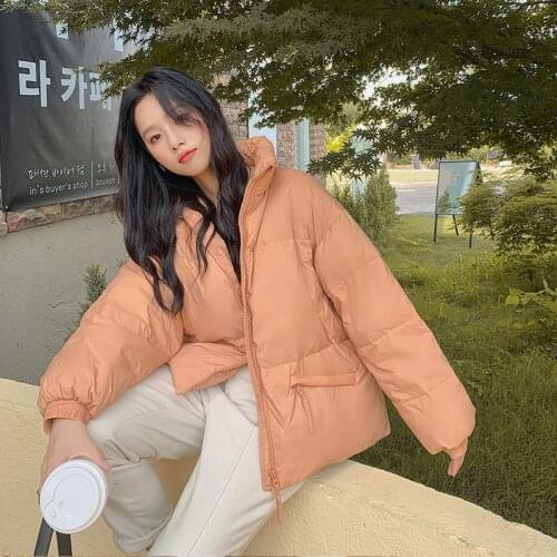 Womens Down Jacket Korean Version Thick Warm Mid Long Winter Outerwear Fashion Trend Solid Color Straight Zipper Down Jacket