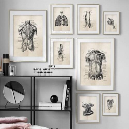 Anatomy skeleton Patent Vintage Poster Wall Art Print Canvas Painting Nordic Posters And Prints Wall Pictures For Living Room