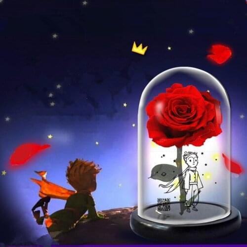 2sets/pack 12*20cm Printing Glass Dome Vase Home Decoration Diameter=12cm Height=20cm Glass Cover DIY Wedding Favor Gift