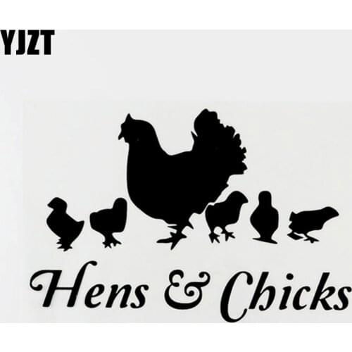 YJZT 16CM×10.7CM Originality Animal Hens&Chicks Vinyl Car Sticker Decal Black/Silver 8C-0384