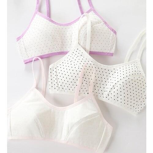 Teenage Girls Underwear Kids Training Bra Sports Vest Push Up Teens Bras Wireless Children Tank Tops Puberty Clothing 12-16T