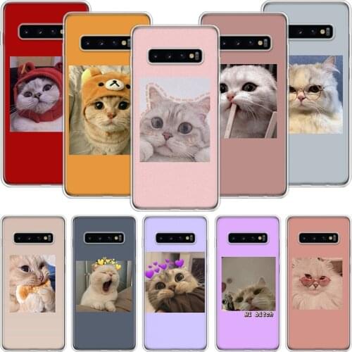 Super Lovely Cat Kitten Cute Funny Phone Case For Samsung Galaxy S10 S20 S21 S9 S8 S7 Note 10 20 9 8 FE J4 J6 Ultra Plus Lite Pr