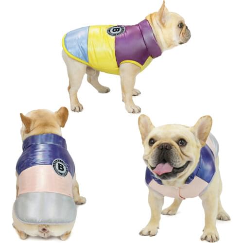 Bulldog Dog Clothes for Autumn and Winter Two Feet Warm Cotton Padded Stitching Colors Pet Clothing Fat Big Dog Clothes