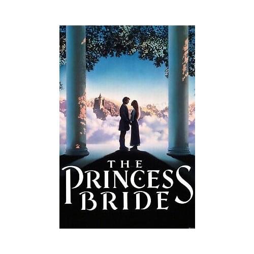 The Princess Bride Movie Art Film Print Silk Poster Home Wall Decor 24x36inch