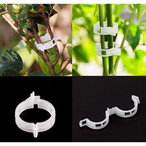 50Pcs Plastic Plant Clips Supports Connects Protection Grafting Fixing Tool Garden Supplies for Vegetable Tomato Hanging Trellis