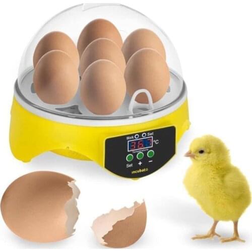 Hatching Chicken Bird Incubator Eggs 7 Eggs Rack Machine Automatic Intelligent for Household Animal Chicken Decoration