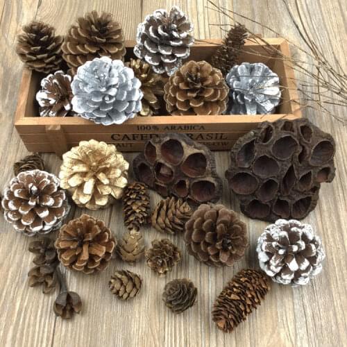 Preserved Fresh Flower Material Pine Cone Natural Dried Cassia Fruit Gold and Silver Pine Cone Dried Flower Lotus Seedpod Branch