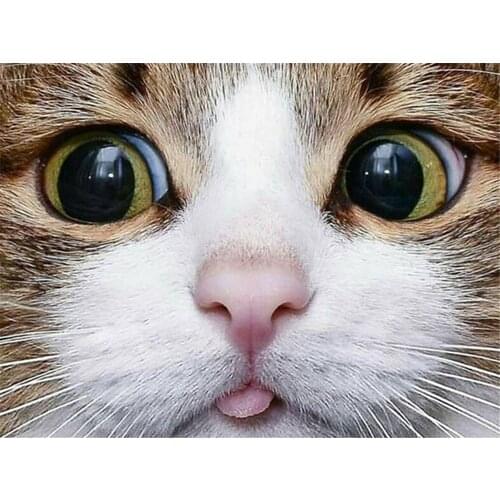 Cat Animal Pre-Printed 11CT Cross-Stitch Set DIY Embroidery DMC Threads Craft Handiwork Hobby Knitting Jewelry For Decor