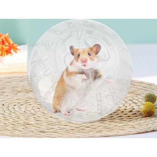 Предметы для ухода за животными PAPASGIX China At AliExpress