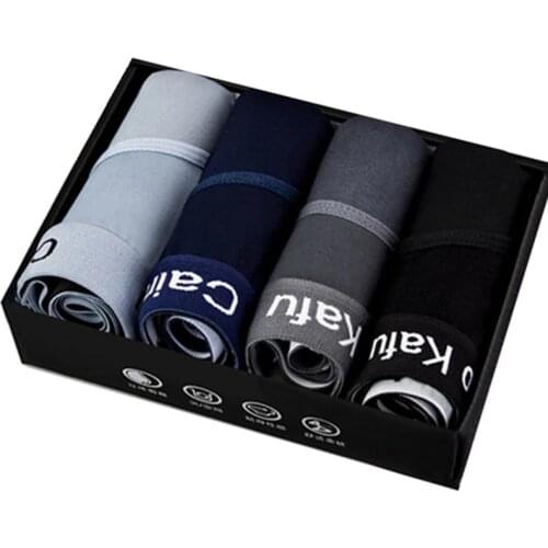 Mens Panties 3pcs/Lot Cotton Male Underwear New 2021 Briefs Men Bamboo Fiber Panties Mens Bikini Pant Men Sexy Slip Hombre Hot