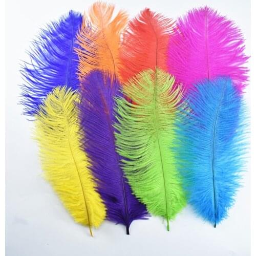 10pcs/lot Ostrich Feather Feathers Ostrich Plumes 25-30cm 10-12" White Wedding Feathers Decoration Home Carnaval Assesoires