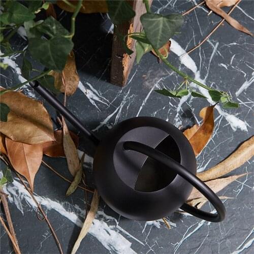 Stainless Steel Small Watering Cans Metal Watering Can Indoor for Outdoor Plants Flower and Garden Flowers with Long Spout Plant