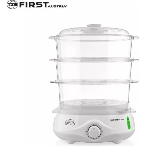 First Electric Steamers