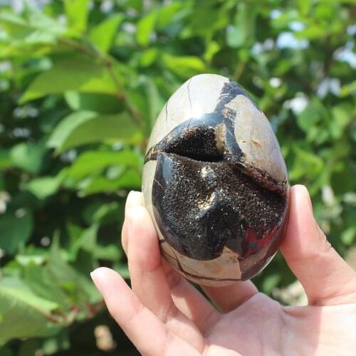 330g Natural curvature of the furnishing articles Turtle grain stone egg Ball Septarian nodule Fossil Crystal Healing quartz 13