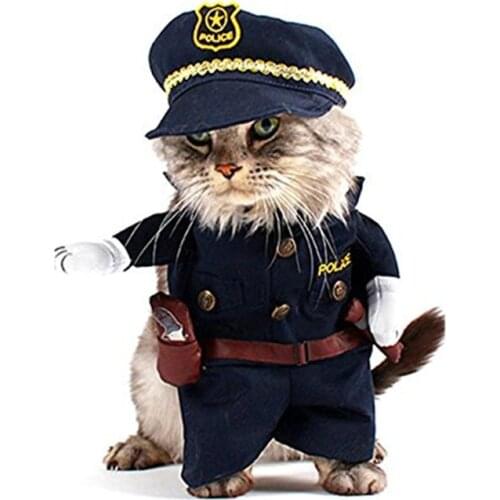 Clothes For Cats Gomaomi China