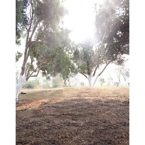 Landscape Green Tree Photography Backdrops Photo Props Studio Background 5x7ft