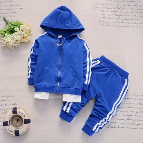 Baby Boy Clothes Set Fashion Zipper Long Sleeved Hooded Hoodies + Pants 2PCS Infant Outfits Kids Bebes Jogging Suits Tracksuits