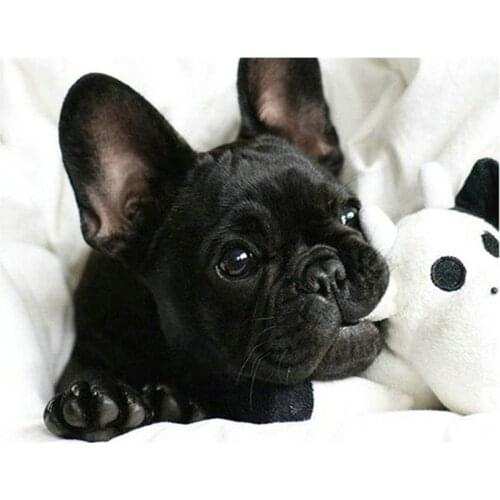 DIY diamond painting black French bulldog full dog diamond embroidery square&round diamond paste pattern Beads