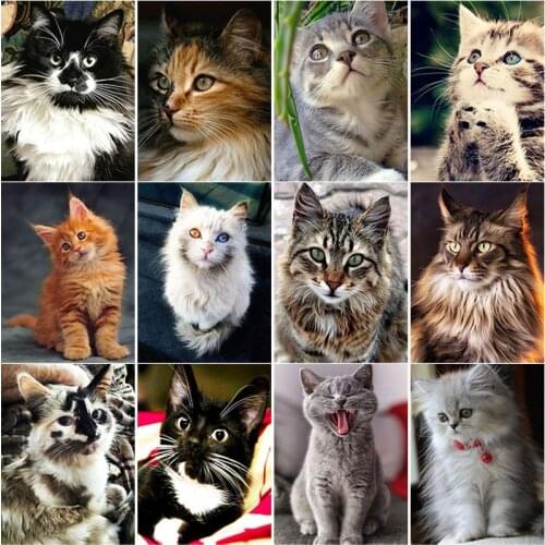 New 5D DIY Animal Diamond Painting Cat Diamond Embroidery Landscape Cross Stitch Crafts Full Square Round Drill Home Decor Gift